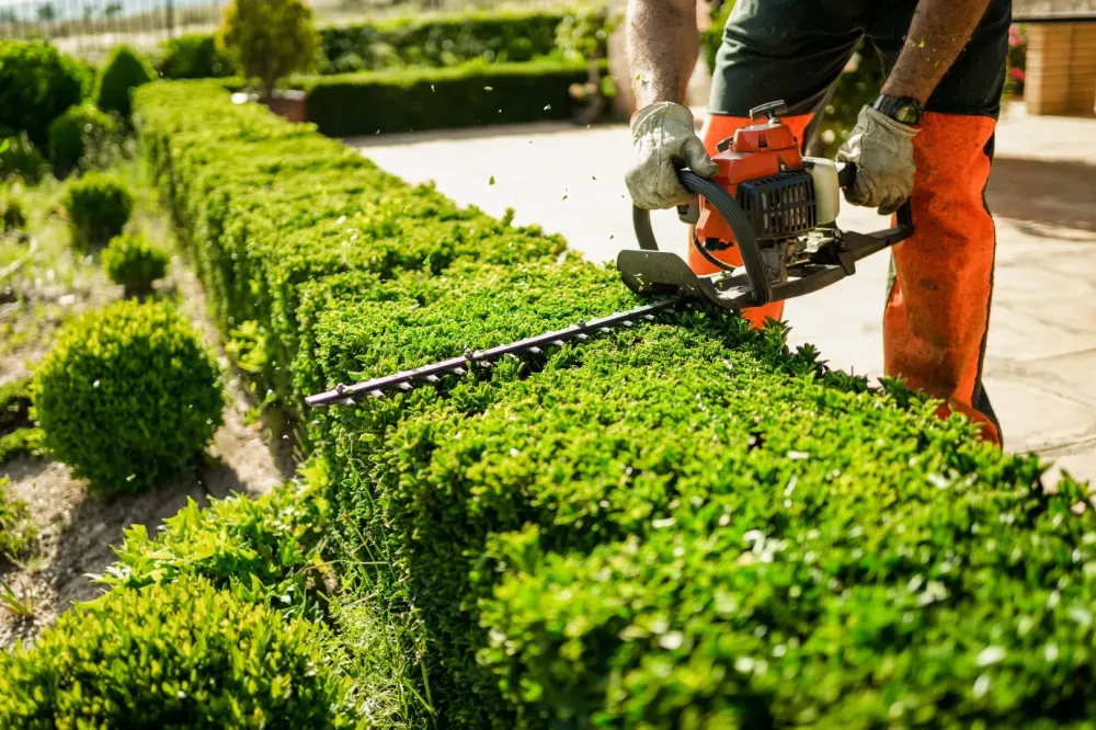 Entretien de jardin près de Brue-Auriac