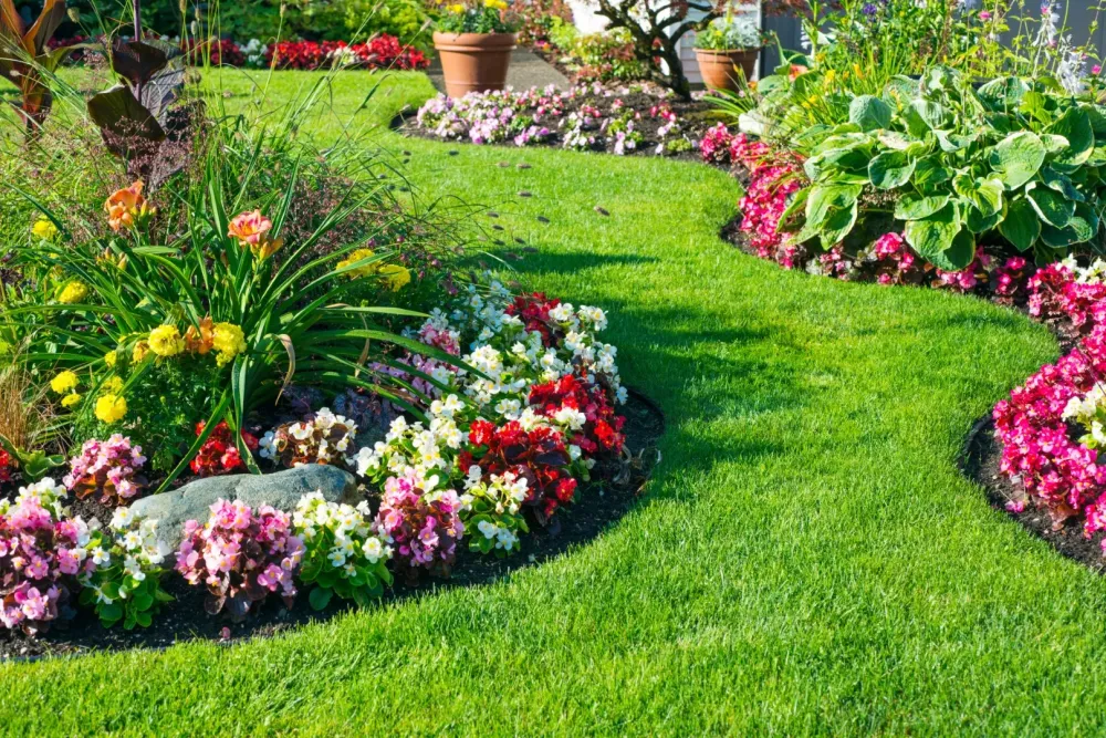jardin