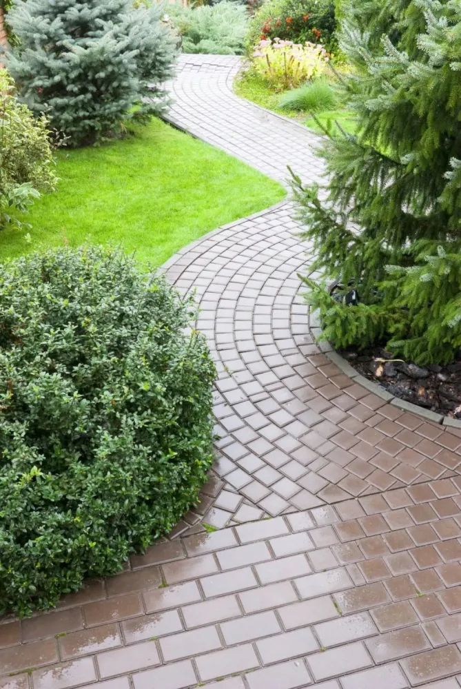 entretien jardin