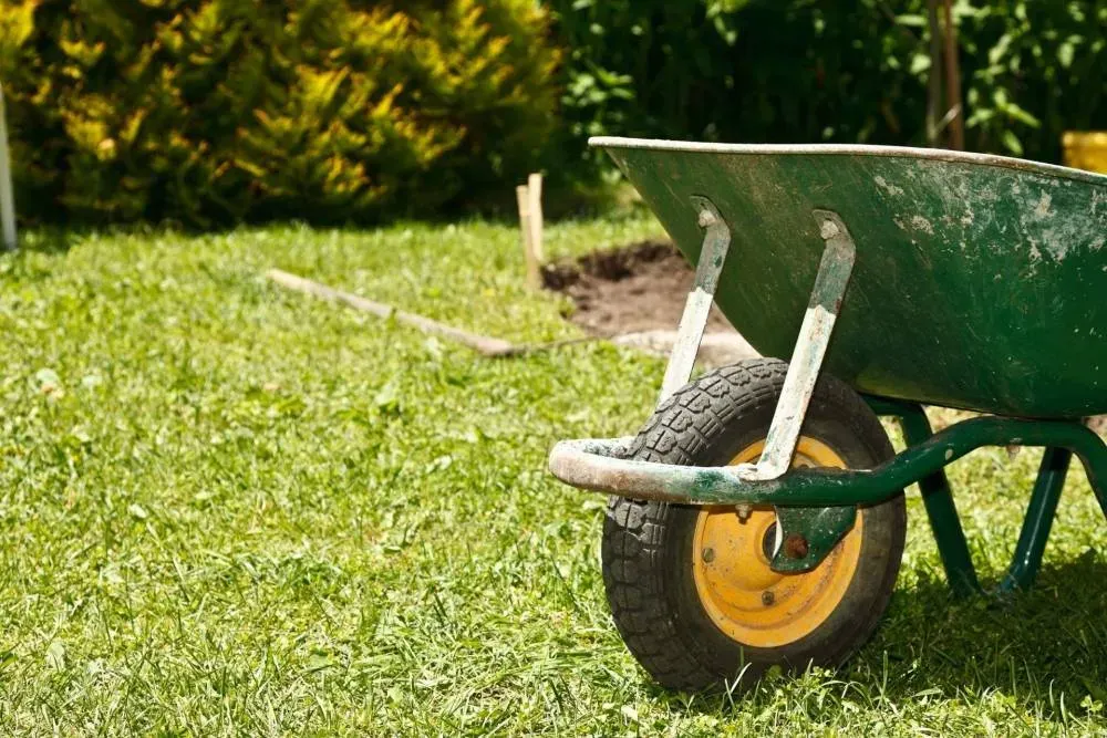 entretien de jardin
